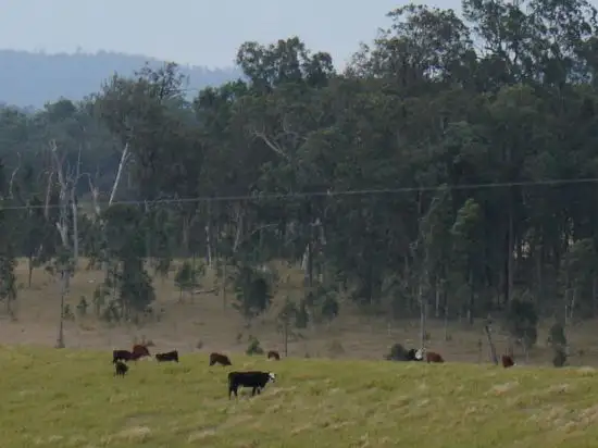 Main view of Homely rural property listing, 1354 Plain Station Rd, Tabulam NSW 2469