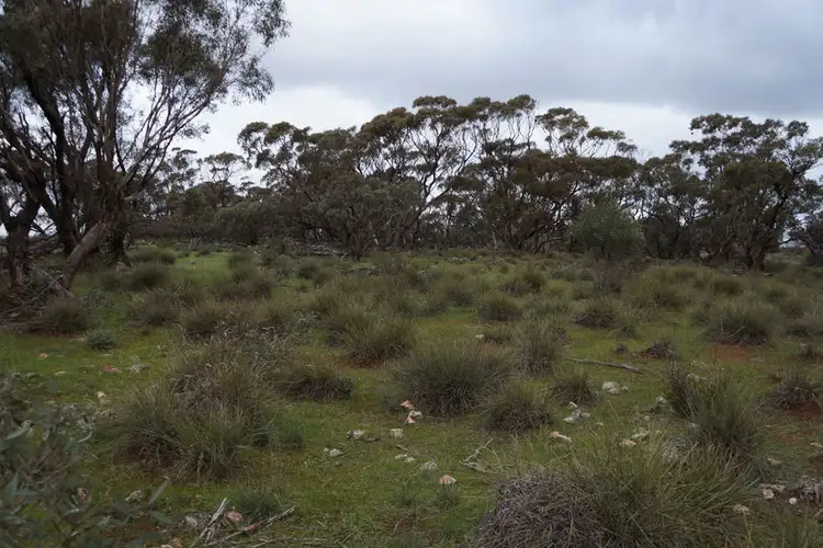 Third view of Homely rural property listing, Lot 5 Anders Road, Monarto SA 5254