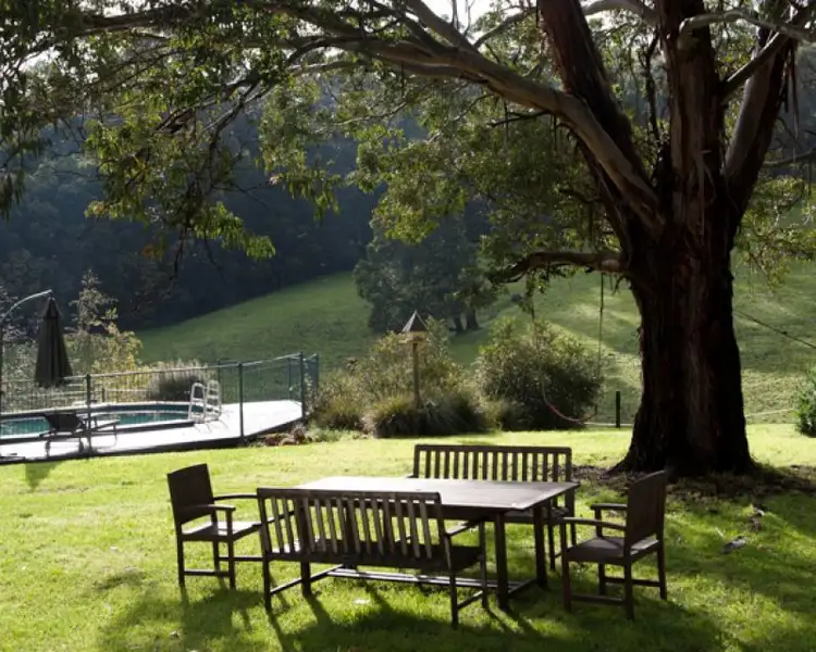 Second view of Homely rural property listing, 170 Caspers Access, Forrest VIC 3236