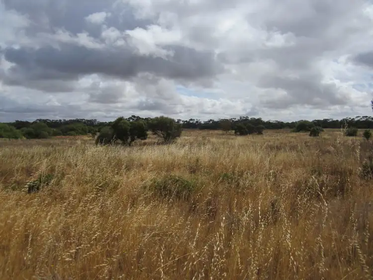 Main view of Homely rural property listing, 4 Princes Highway, Tailem Bend SA 5260