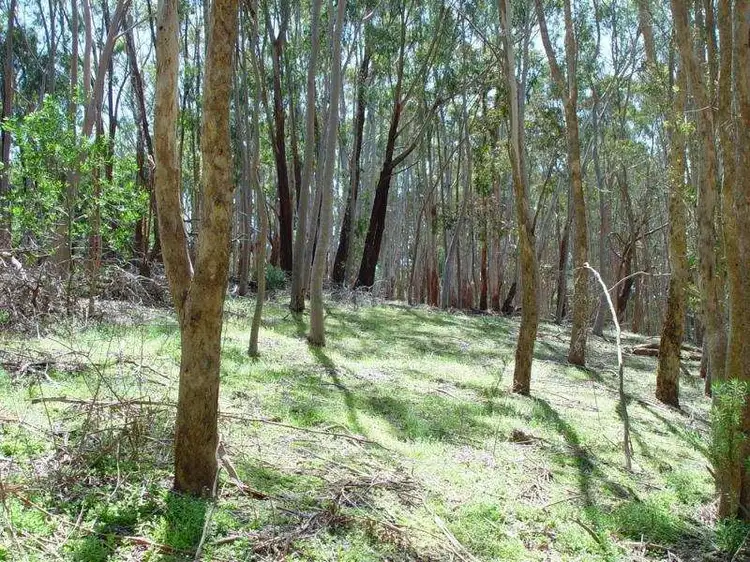 Second view of Homely land listing, Lot 101 Stock Road, Mylor SA 5153