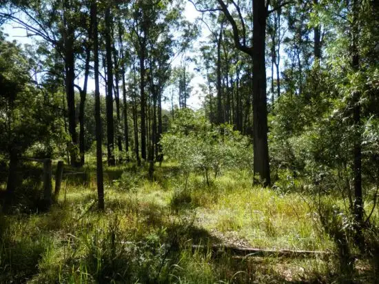 Sixth view of Homely rural property listing, Lot 213 Long Gully Rd, Drake NSW 2469