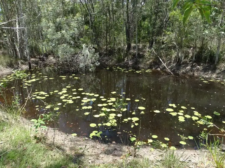 Fourth view of Homely rural property listing, 310 Muller Road, Baffle Creek QLD 4674