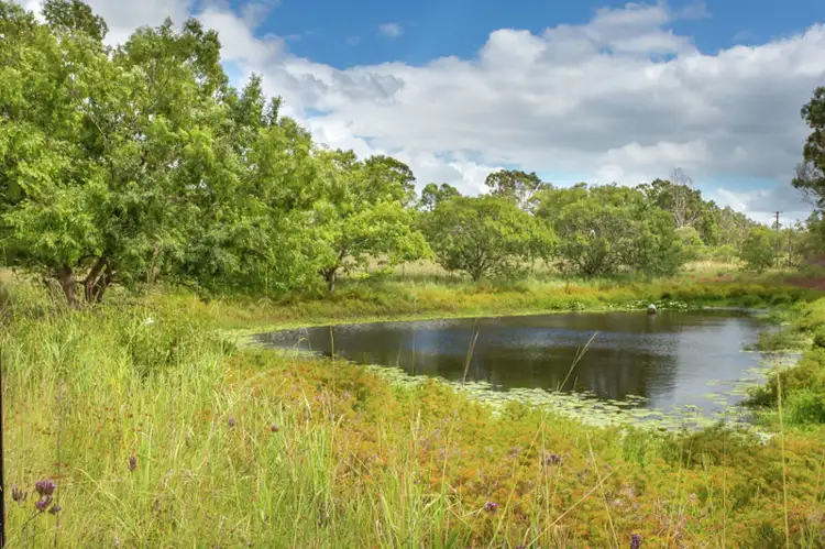 Second view of Homely rural property listing, 24 Six Mile Lane, Glenugie NSW 2460