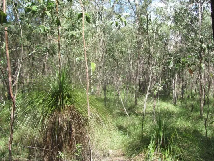 Third view of Homely rural property listing, Lot 50 Matchbox Road, Deepwater QLD 4674