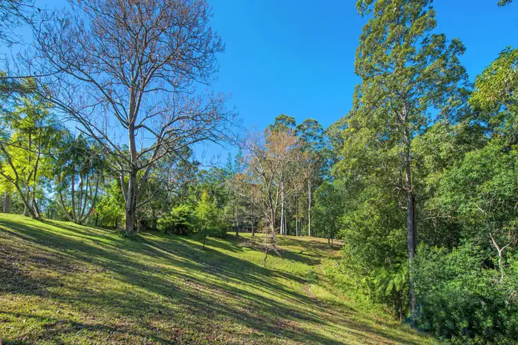 Fourth view of Homely house listing, 330 Roses Road, Bellingen NSW 2454