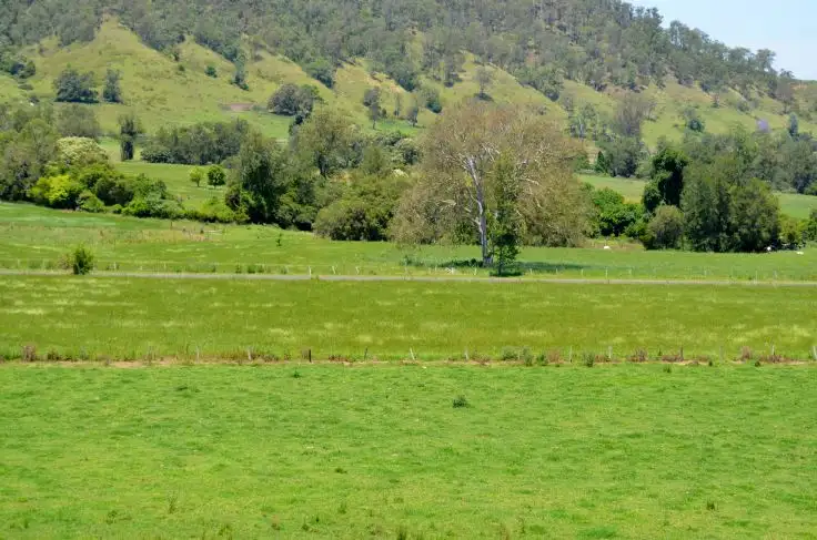 Seventh view of Homely rural property listing, 219 *Gradys Creek Road, Kyogle NSW 2474