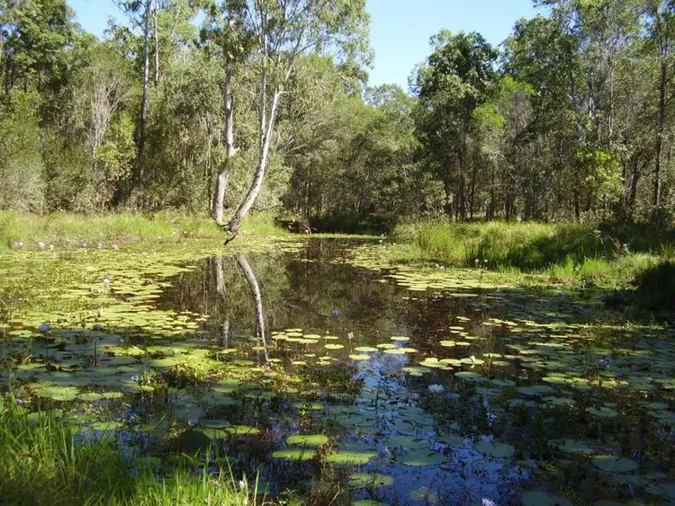 Sixth view of Homely rural property listing, Lot 1 Brauers Road, Mount Maria QLD 4674