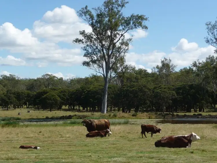 Fourth view of Homely house listing, 397 Hiddenvale Road, Calvert QLD 4340