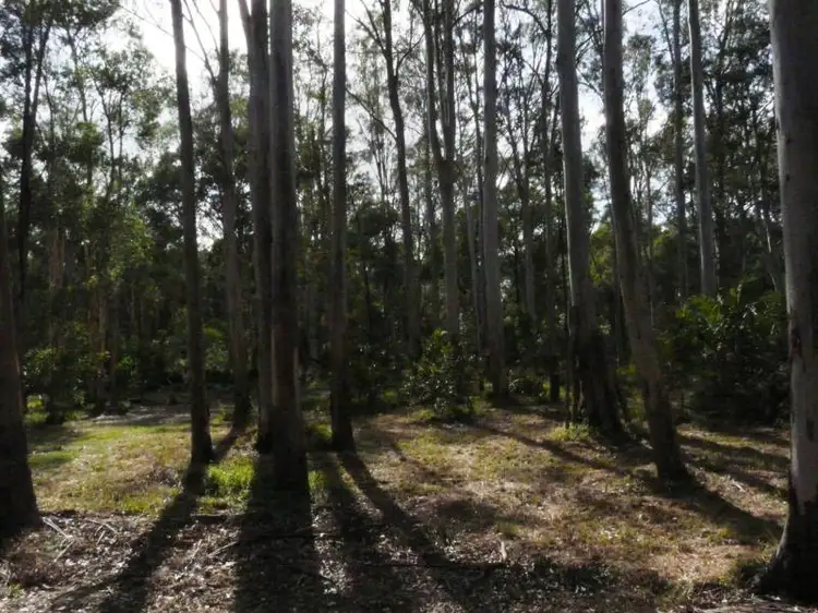 Third view of Homely land listing, 28 Fischer Rd, Carbrook QLD 4130