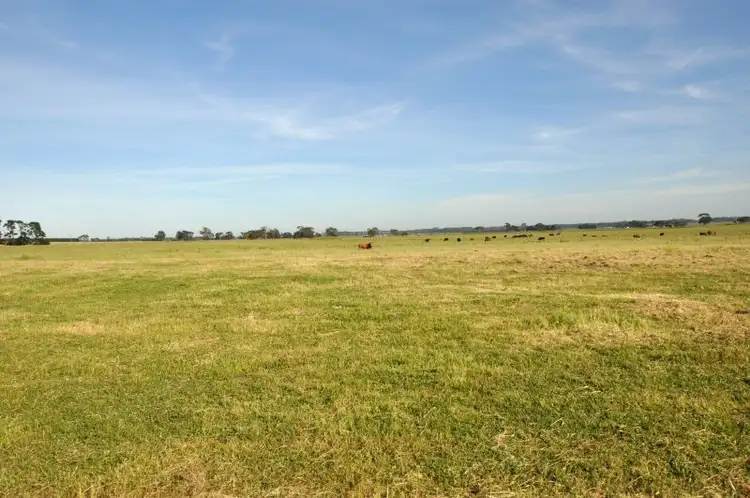 Seventh view of Homely rural property listing, 519 Buckley School Road, Buckley VIC 3240