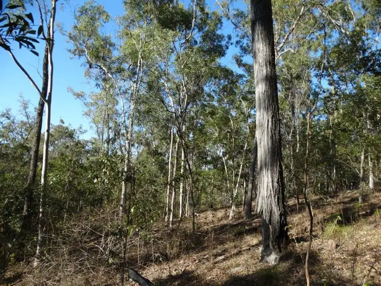 Sixth view of Homely rural property listing, Lot 49 Kirkpatrick Road, Euleilah QLD 4674
