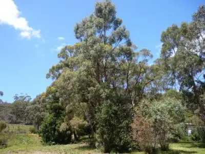 5769 Arthur Highway, Taranna TAS 7180