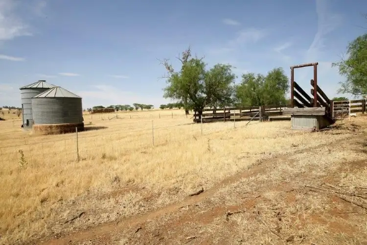 Fourth view of Homely rural property listing, 738 Pikedale Road, Old Junee NSW 2652