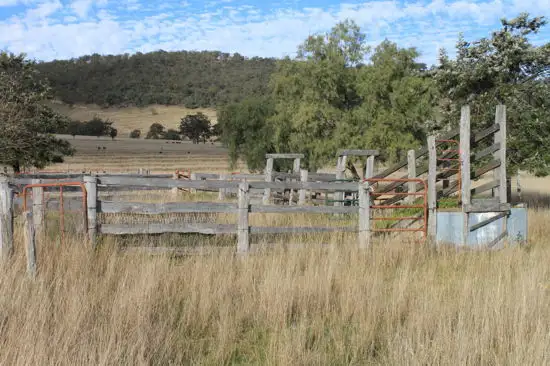 Seventh view of Homely rural property listing, 266 Mareeba Road, Scone NSW 2337