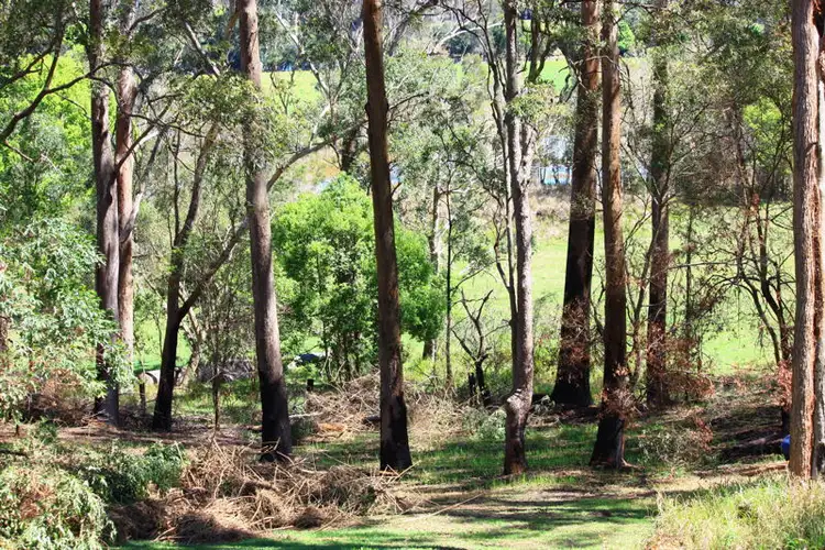 Seventh view of Homely land listing, 3981 Giinagay Way, Urunga NSW 2455