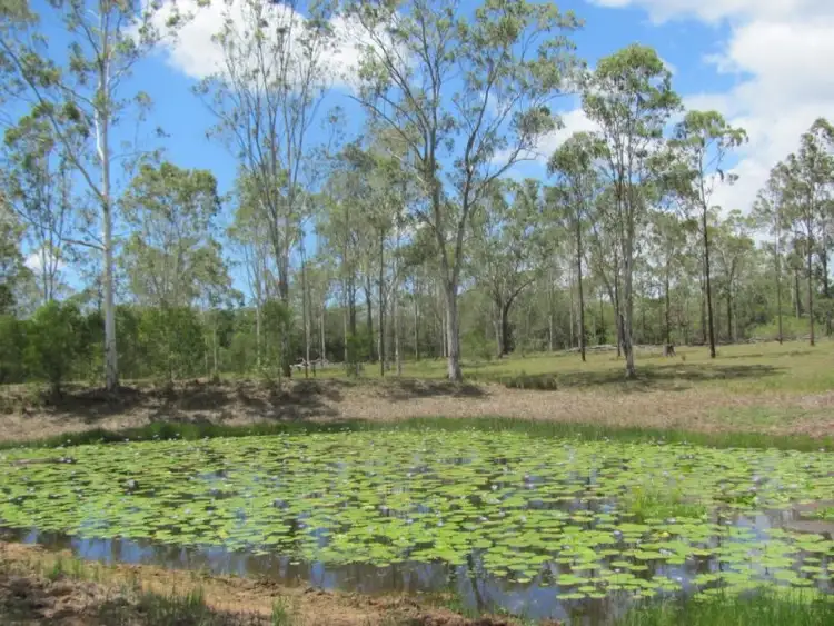 Fourth view of Homely rural property listing, 582 Taunton Road, Taunton QLD 4674