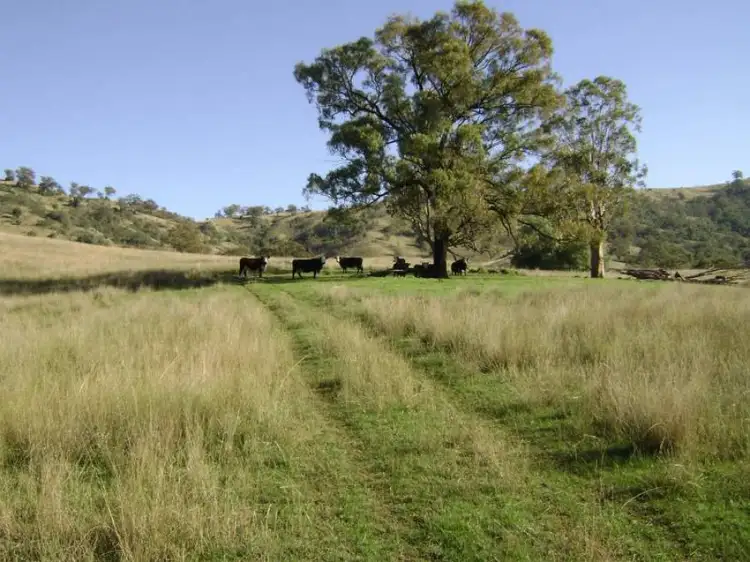 Seventh view of Homely rural property listing, 1999 "HOLLINGVALE" ROUCHEL ROAD, Scone NSW 2337