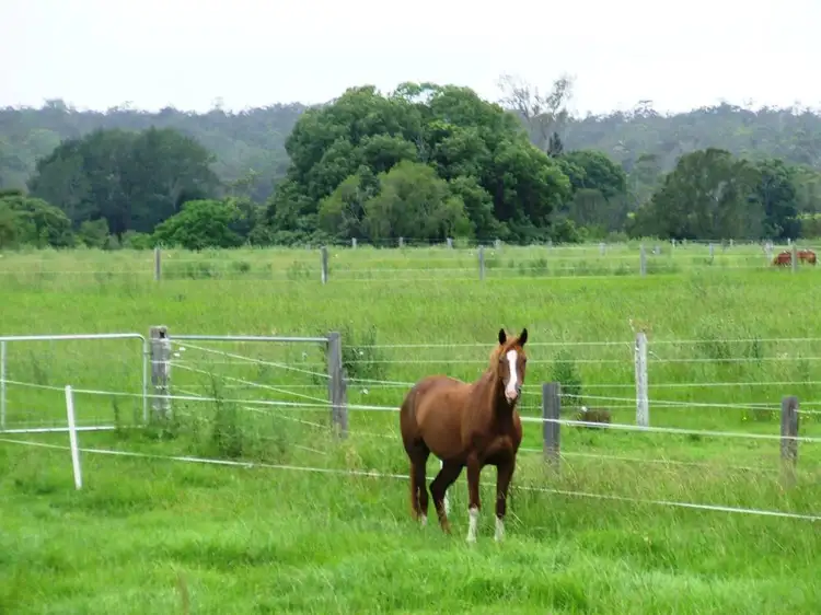 Main view of Homely rural property listing, Address available on request