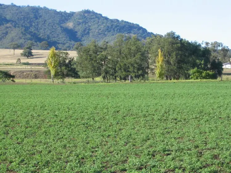 Third view of Homely rural property listing, Address available on request