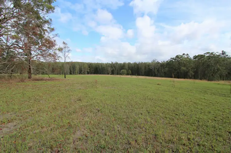 Fifth view of Homely rural property listing, 495 Hillcrest Road, Nabiac NSW 2312