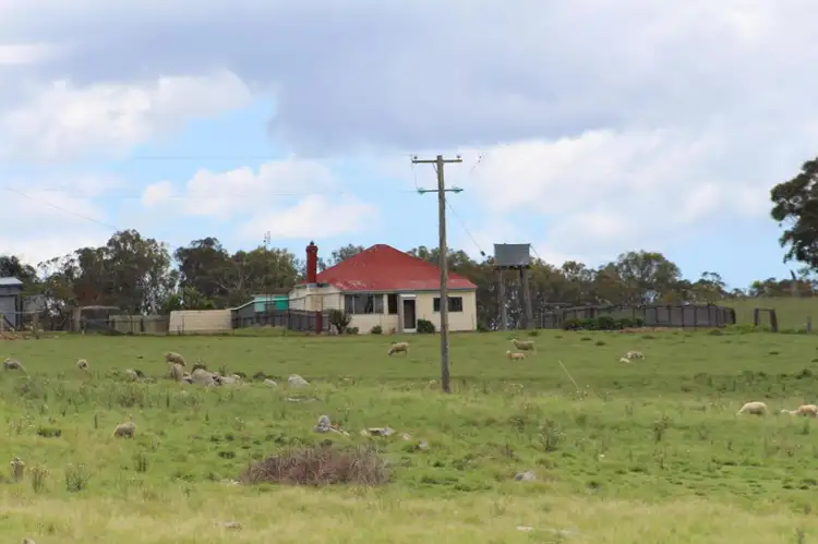 Fourth view of Homely rural property listing, 132 Sunnyside Loop Road, Tenterfield NSW 2372