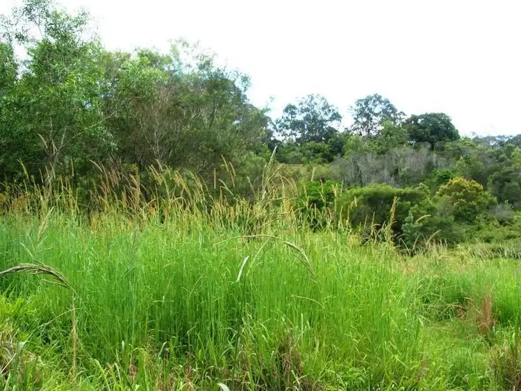 Fourth view of Homely rural property listing, 202 Elliots Road, Tamban NSW 2441