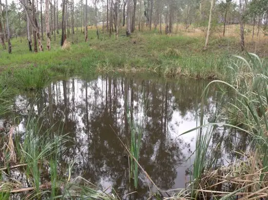 Fourth view of Homely rural property listing, 327 Ogilvie Drive, Tabulam NSW 2469