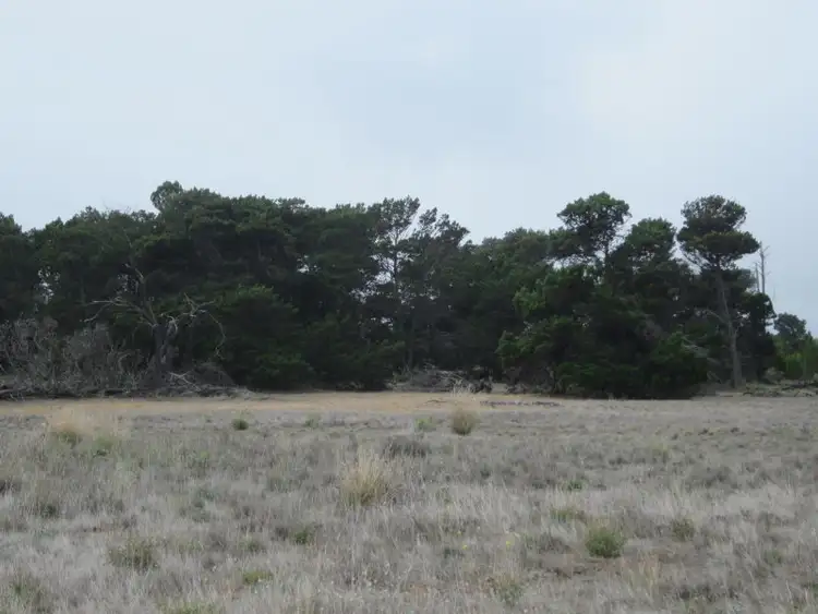 Sixth view of Homely rural property listing, Lot 1 Lot 2 (198S) Wellington East (Via Tailem Bend), Wellington East SA 5259