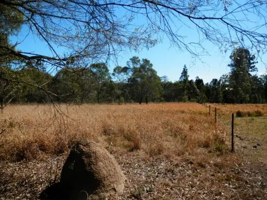 Fifth view of Homely rural property listing, Lot 2 Clarence Way, Tabulam NSW 2469