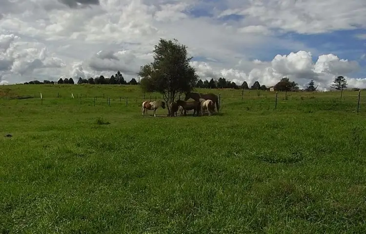 Fourth view of Homely rural property listing, 999 Bruce Highway, Kybong QLD 4570