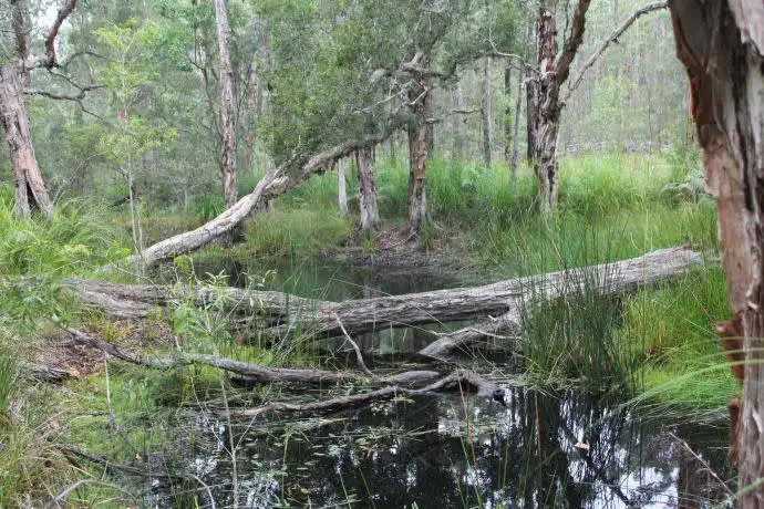 Third view of Homely rural property listing, Lot 3, 99 Barcoongere Way, Corindi Beach NSW 2456