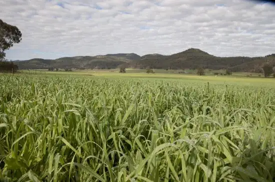 Main view of Homely rural property listing, Address available on request