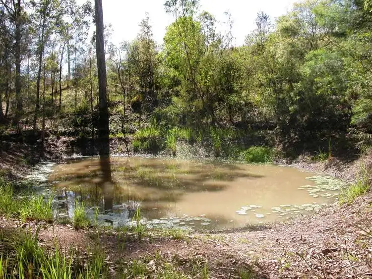 Seventh view of Homely rural property listing, Lot 1 Greenhills Road, Taylors Arm NSW 2447