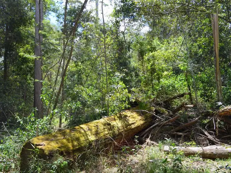 Fifth view of Homely land listing, 217/760 Cove Road, Stanmore QLD 4514