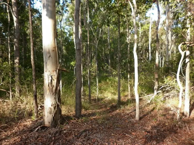 Third view of Homely land listing, L21 Counter Road, Wolvi QLD 4570