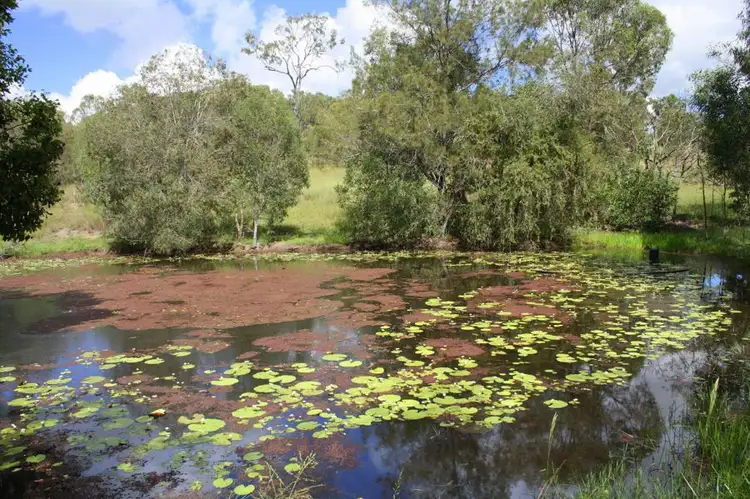Second view of Homely house listing, 485 Mount Woowoonga Road, Woowoonga QLD 4621