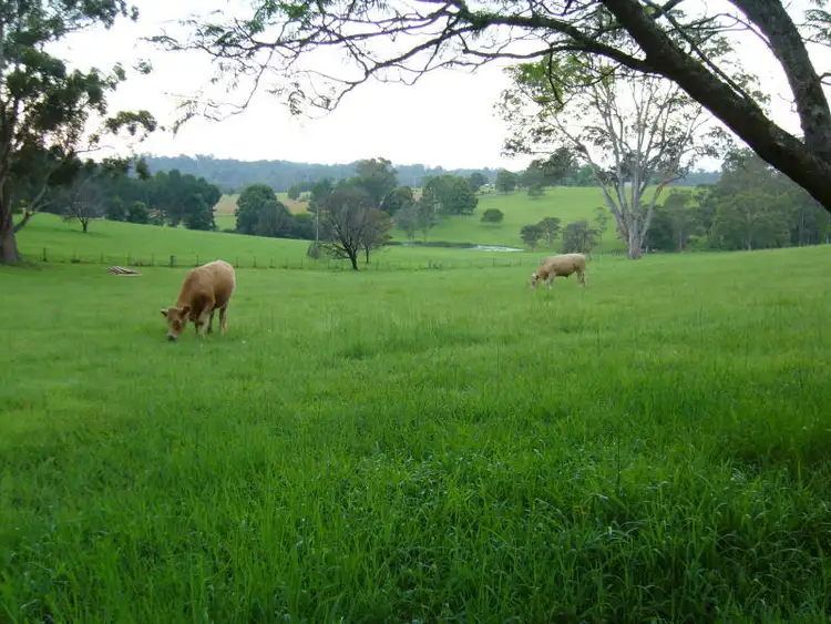 Second view of Homely rural property listing, 400 Wilson Road, Macksville NSW 2447