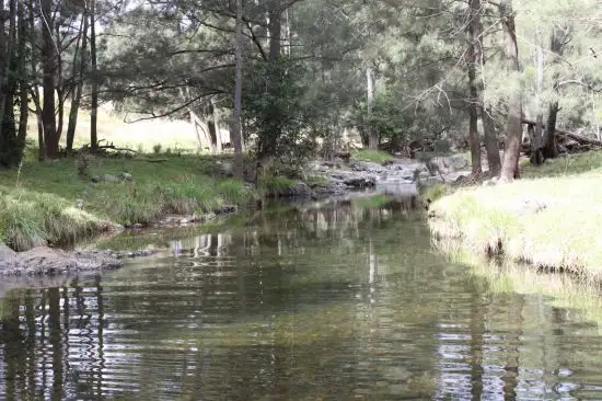 Third view of Homely rural property listing, 1 Glen Dyne Upper Rouchel Road, Rouchel NSW 2336