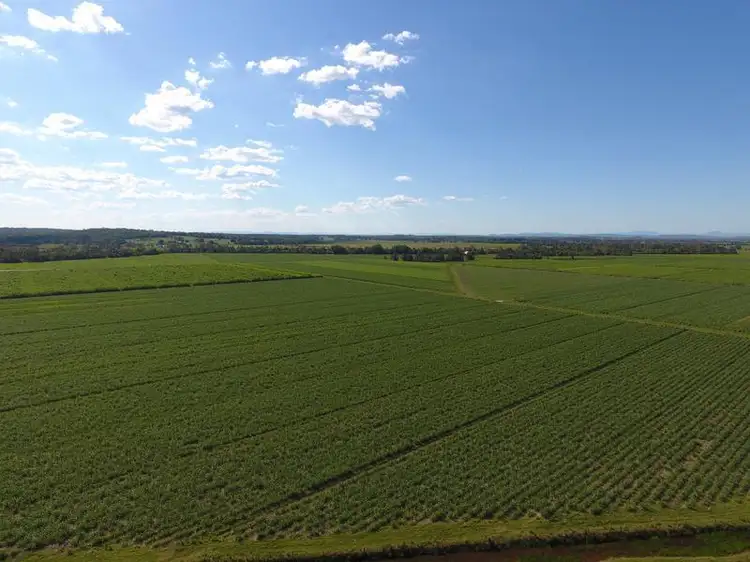 Main view of Homely rural property listing, Bungawalbin-Whiporie Road, Coraki NSW 2471
