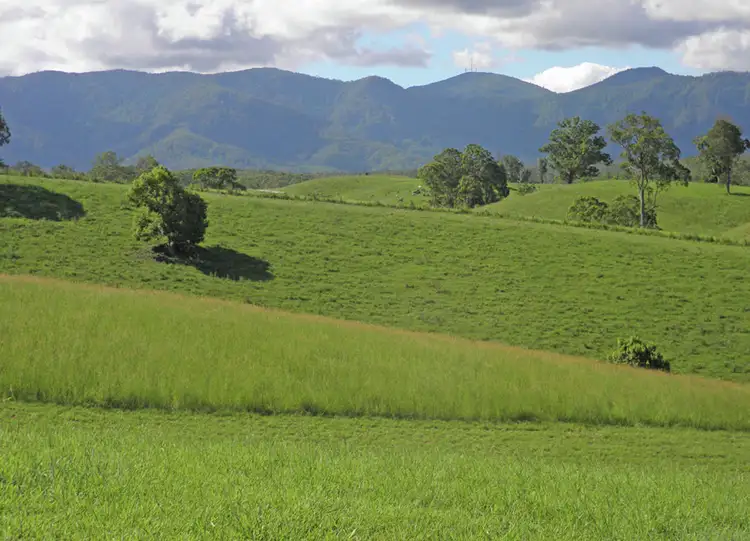 Lot 5, 285 Hydes Creek Road, Bellingen NSW 2454