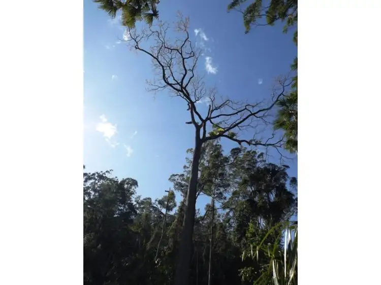 Fourth view of Homely rural property listing, Lot 1 Hawk Road, Newee Creek NSW 2447