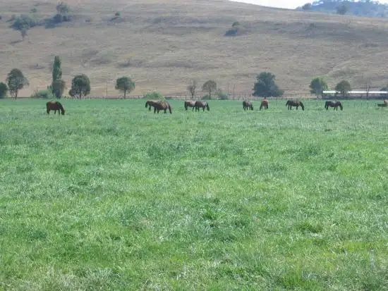 Second view of Homely rural property listing, 1 Segenhoe, Scone NSW 2337