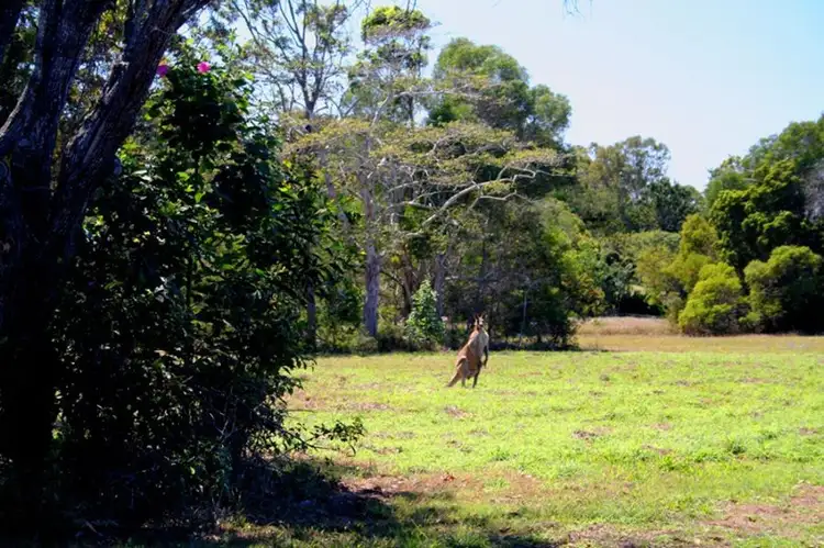 Fifth view of Homely land listing, 6 Sandrabarbara Drive, Booral QLD 4655