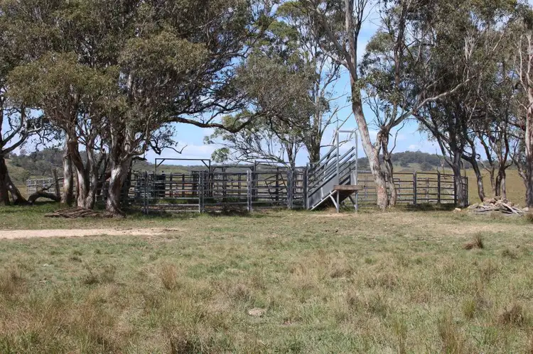 Third view of Homely rural property listing, 1220 Scrub Road, Tenterfield NSW 2372
