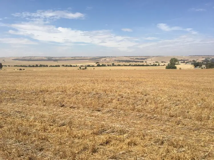 Main view of Homely rural property listing, Lt 22 & 23 Old Princes Highway, Callington SA 5254