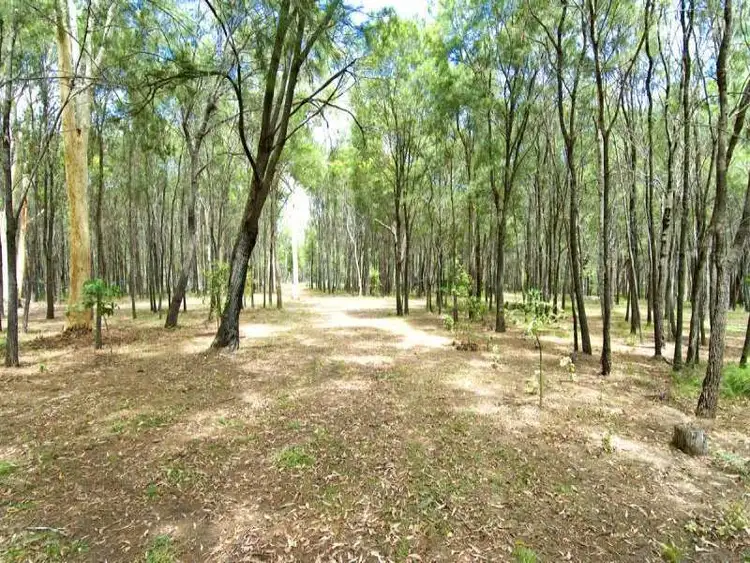 Sixth view of Homely house listing, 82 Wildsoet St, Burbank QLD 4156