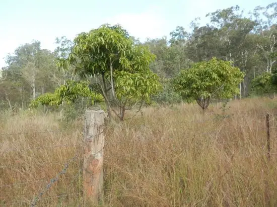 Third view of Homely rural property listing, Lot 5 Cyril Smith Circuit, Tabulam NSW 2469