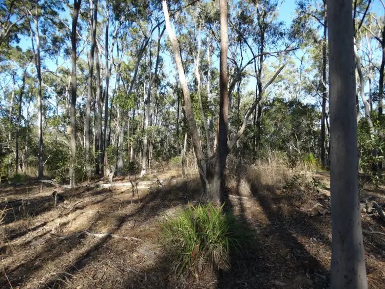 Third view of Homely rural property listing, Lot 49 Kirkpatrick Road, Euleilah QLD 4674