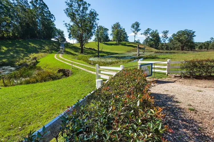 389 Martells Road, Bellingen NSW 2454